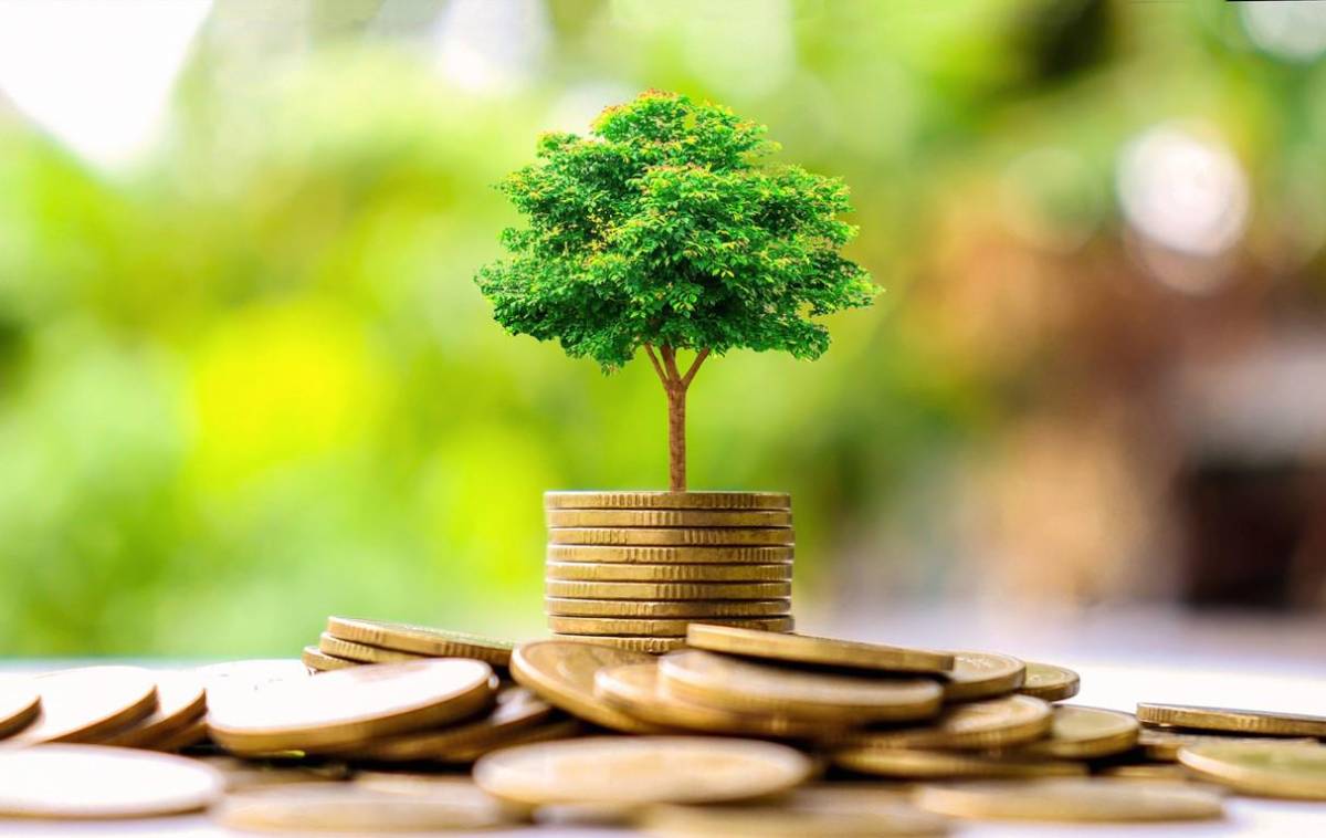 BID elevará la financiación anual para el clima a US$11.300 millones para 2030