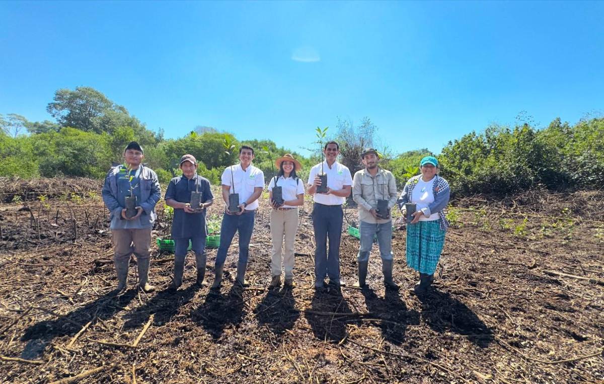 Impulsan restaurar 2.000 hectáreas de bosque de manglar en El Salvador