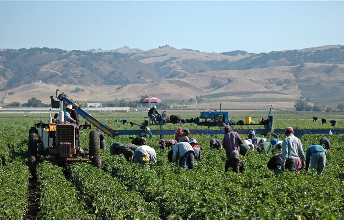 La inmigración aumenta la fuerza laboral de EEUU