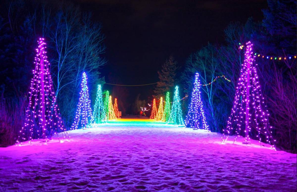 Navidad 2024: cuándo decorar y cómo hacerlo para estar en tendencia