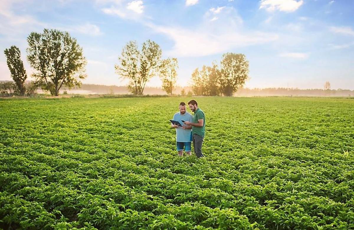 América Latina destaca por su crecimiento en las patentes para tecnologías agrícolas
