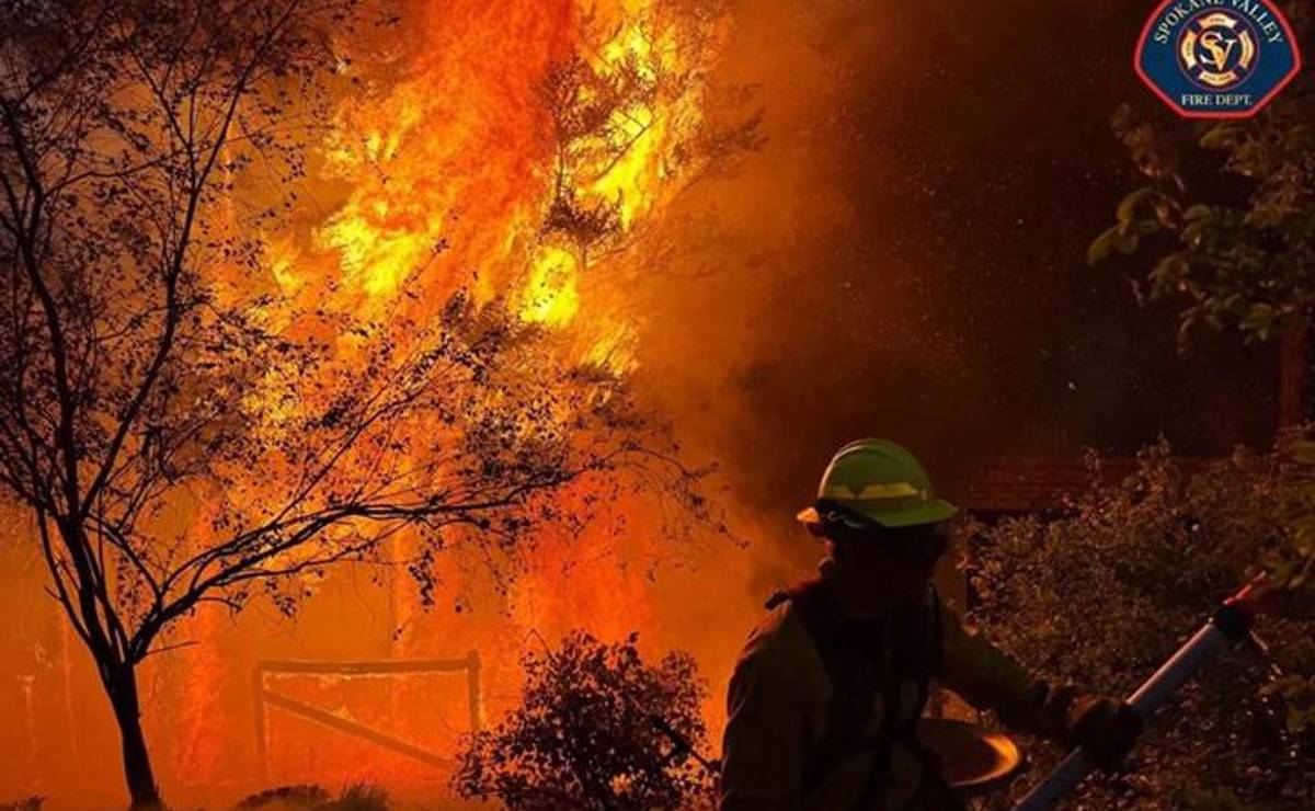 <i>En lo que va de año, los bomberos respondieron a 45.184 incendios forestales, en los Estados Unidos. (Foto: EFE)</i>