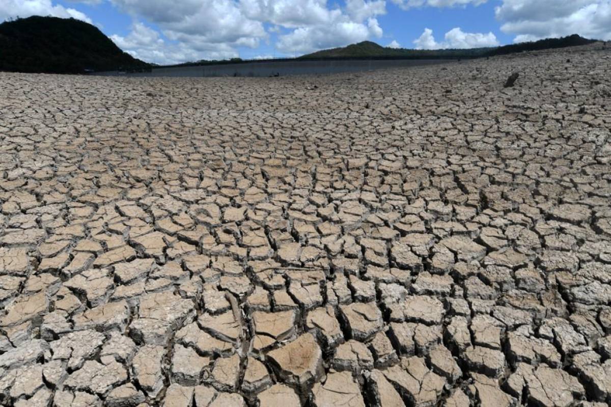 Panamá acogerá reunión de la ONU para analizar los avances contra la sequía