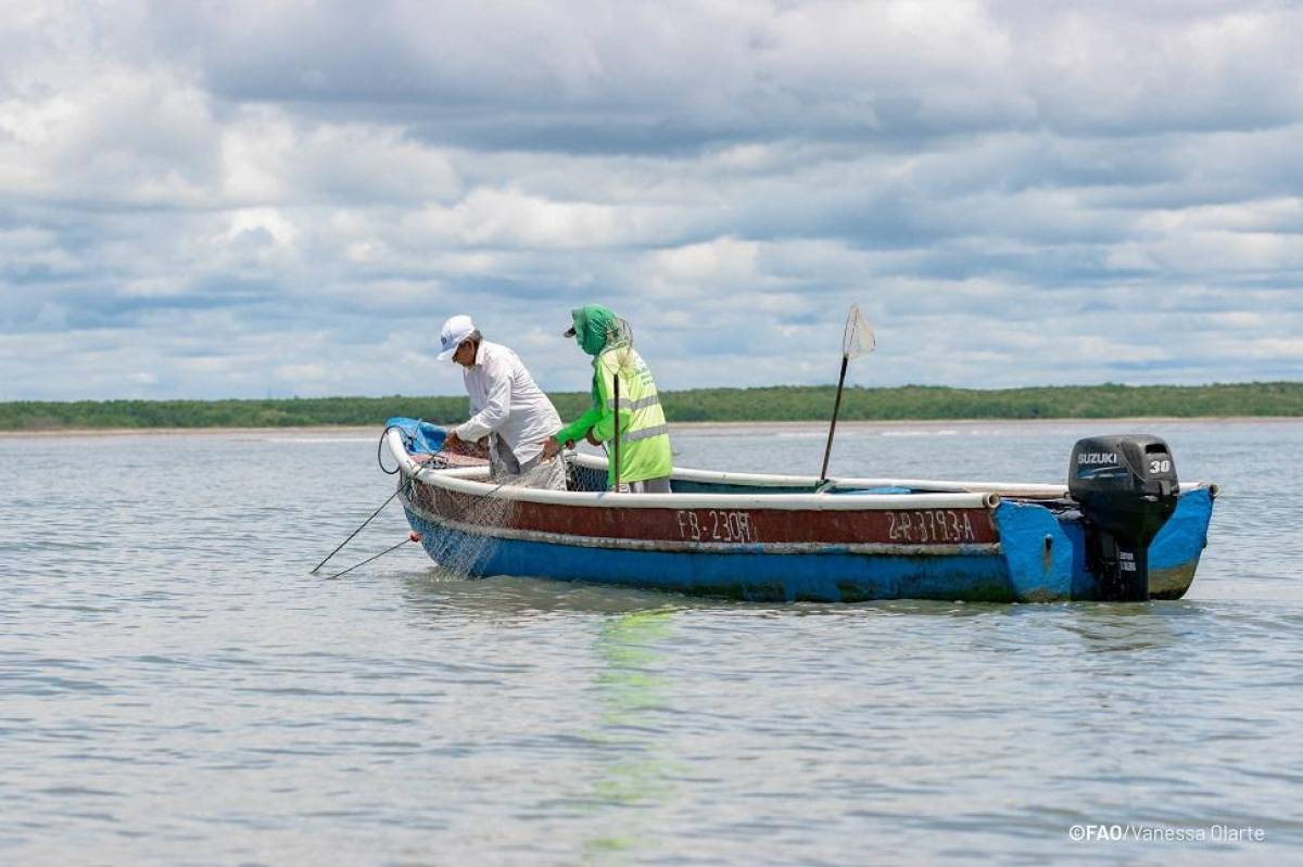 Pesca y construcción impulsan economía de Nicaragua en septiembre