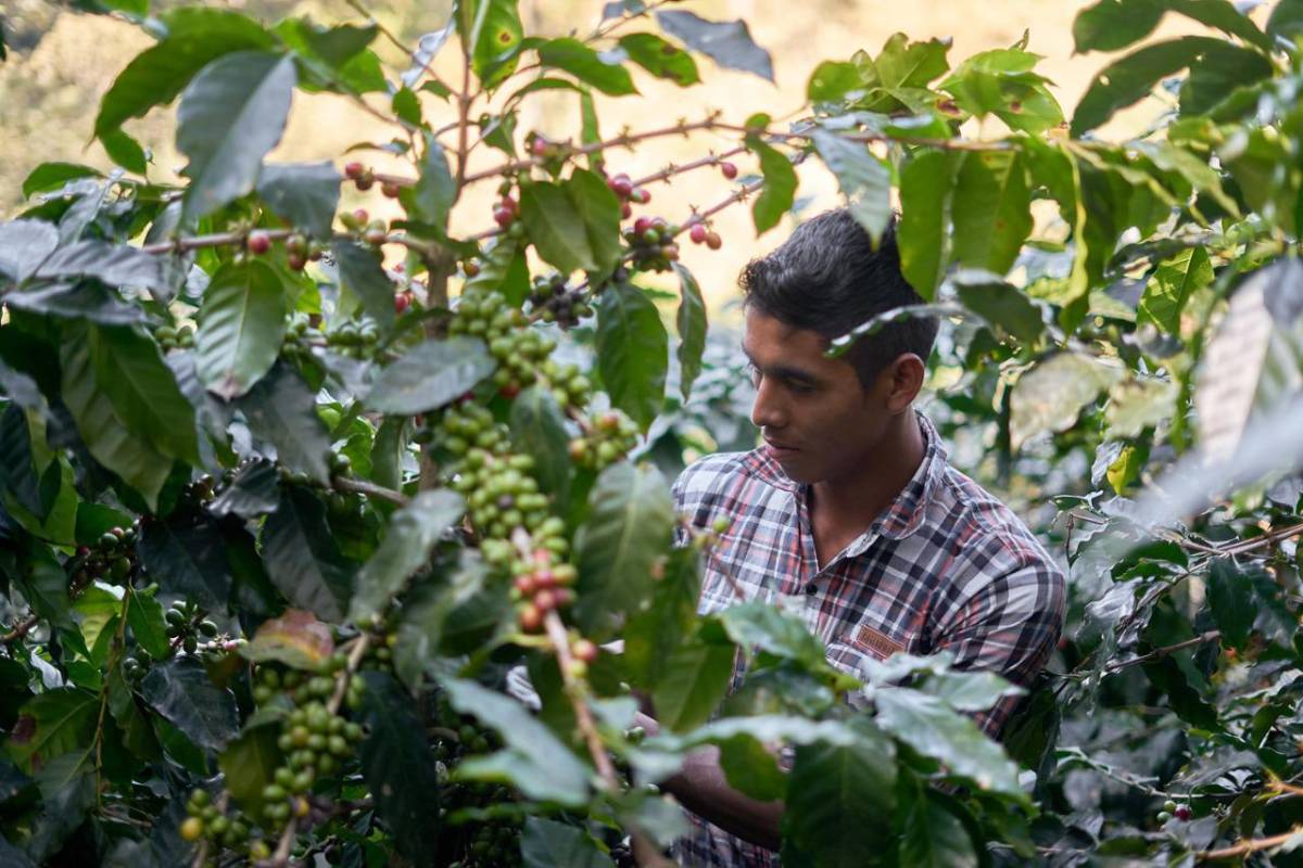 CAF otorgó US$127 millones para financiar proyectos de sostenibilidad en Colombia