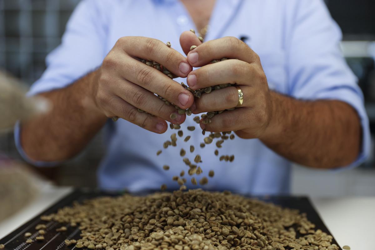 Crisis cafetera: emergencia climática y costos elevan los precios y desafían a productores