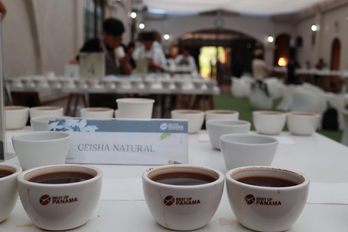 Geisha de Panamá sobresale con calificación más alta en historia de las competencias de café