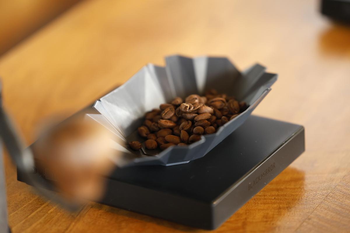 Una ventana al complejo mundo del café de lujo en Panamá con miras al ecoturismo