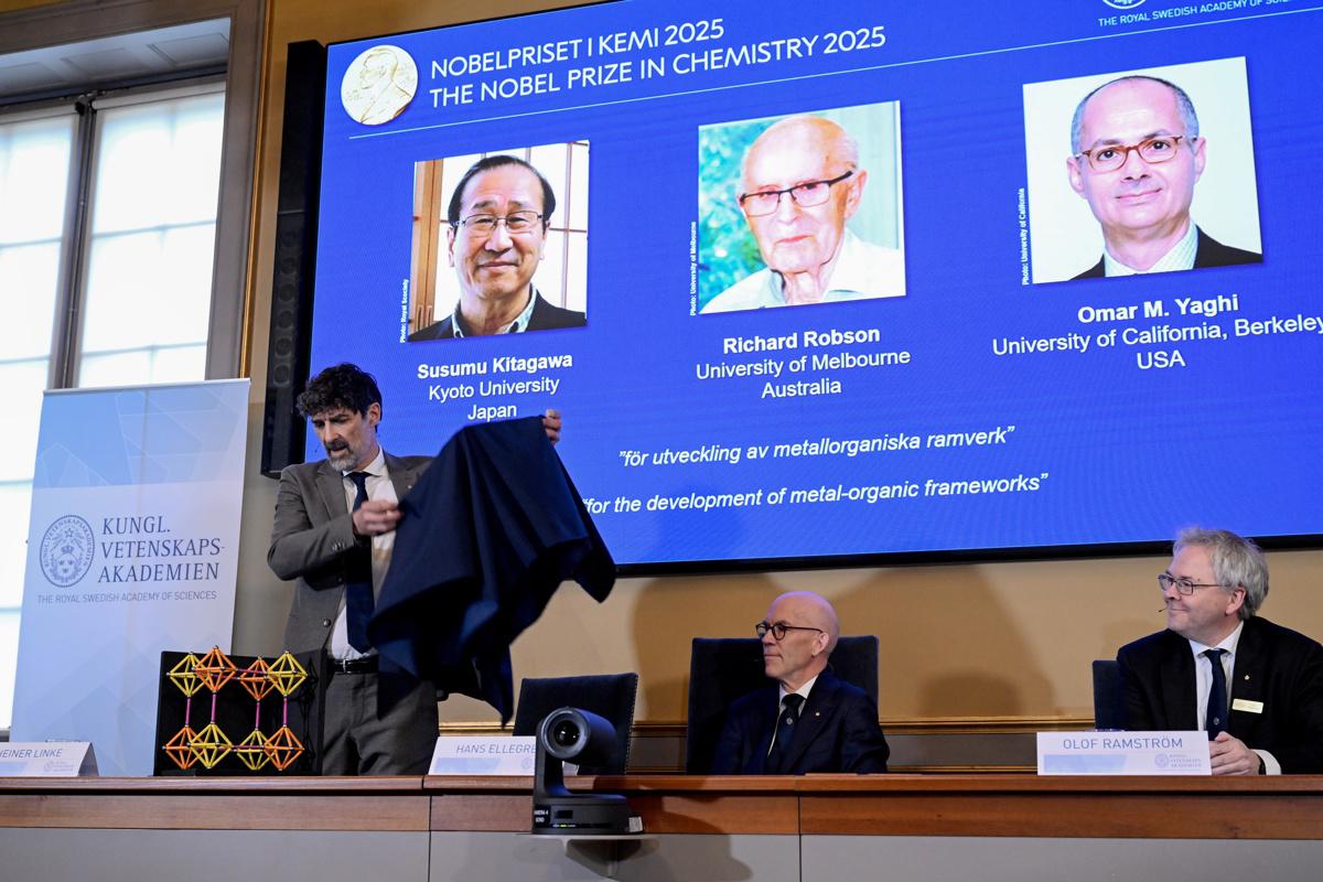 Nobel de Química premia desarrollo de nuevo tipo de arquitectura molecular