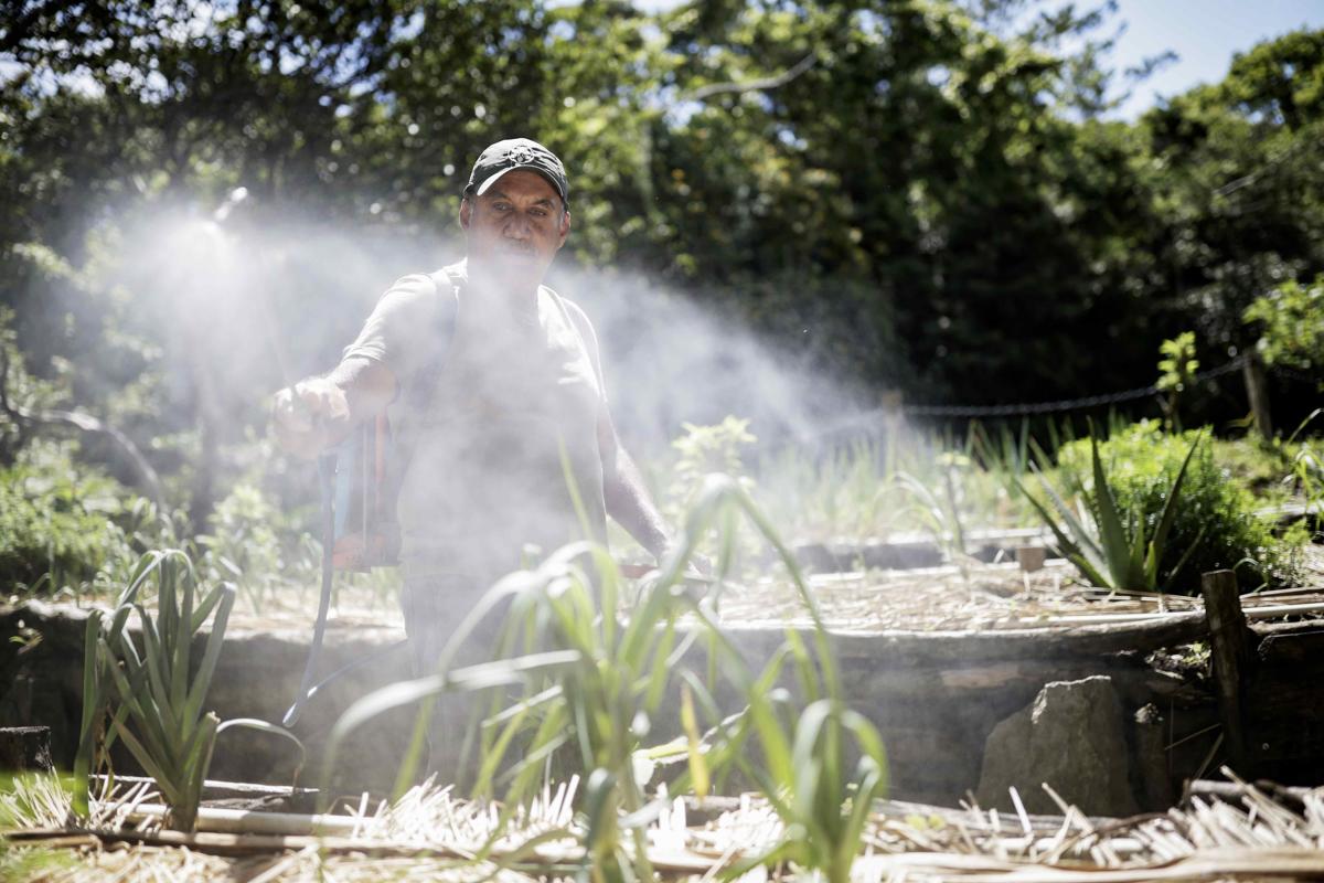 La permacultura busca transformar el paisajeproductivo en Costa Rica