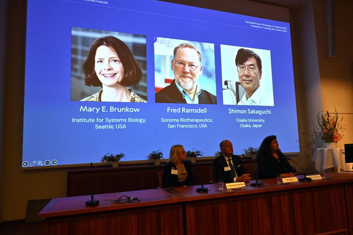 Nobel de Medicina: ¿Qué es la tolerancia inmunológica periférica?