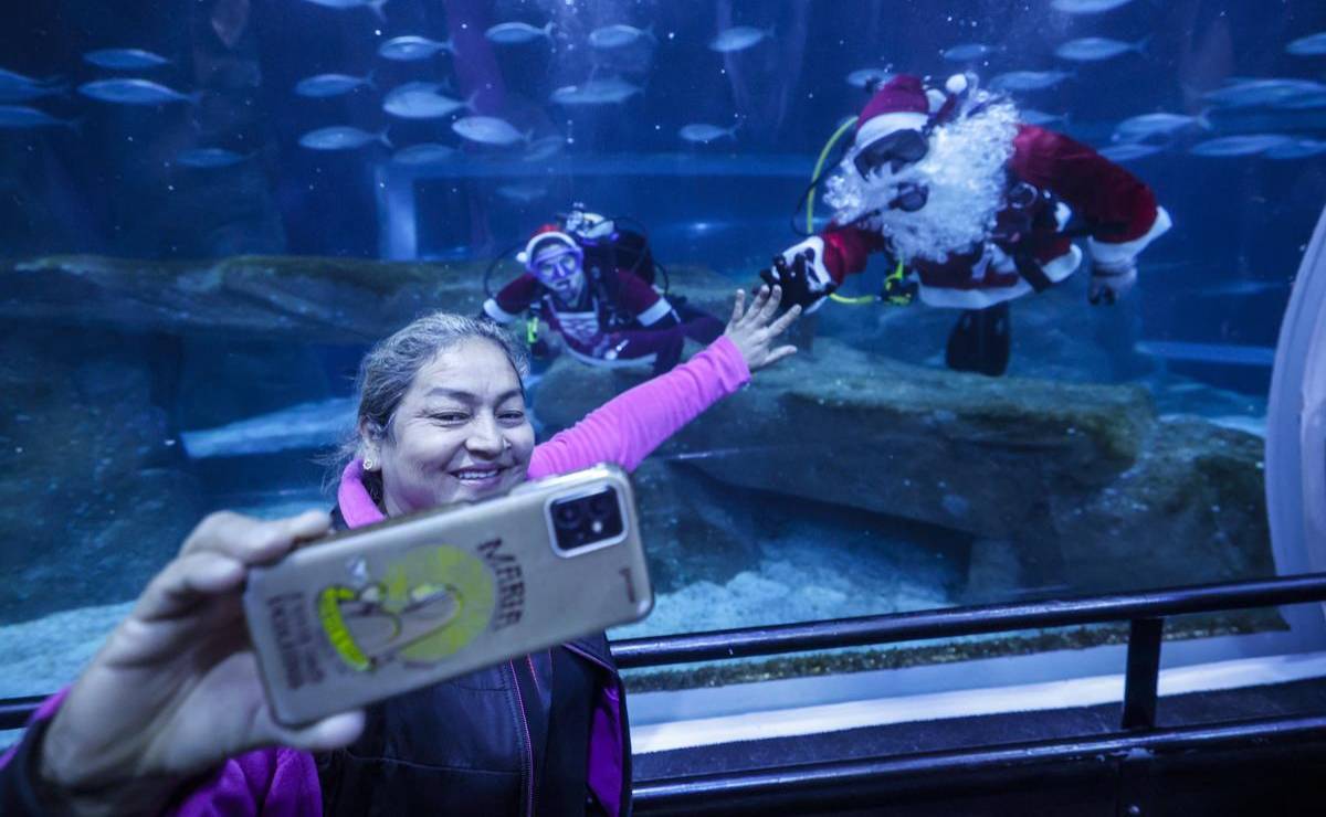 <i>Una mujer se toma una fotografía junto a una pareja vestida de Papá y Mamá Noel buceando este jueves, en el acuario AquaRio en Río de Janeiro (Brasil). EFE/ Antonio Lacerda</i>