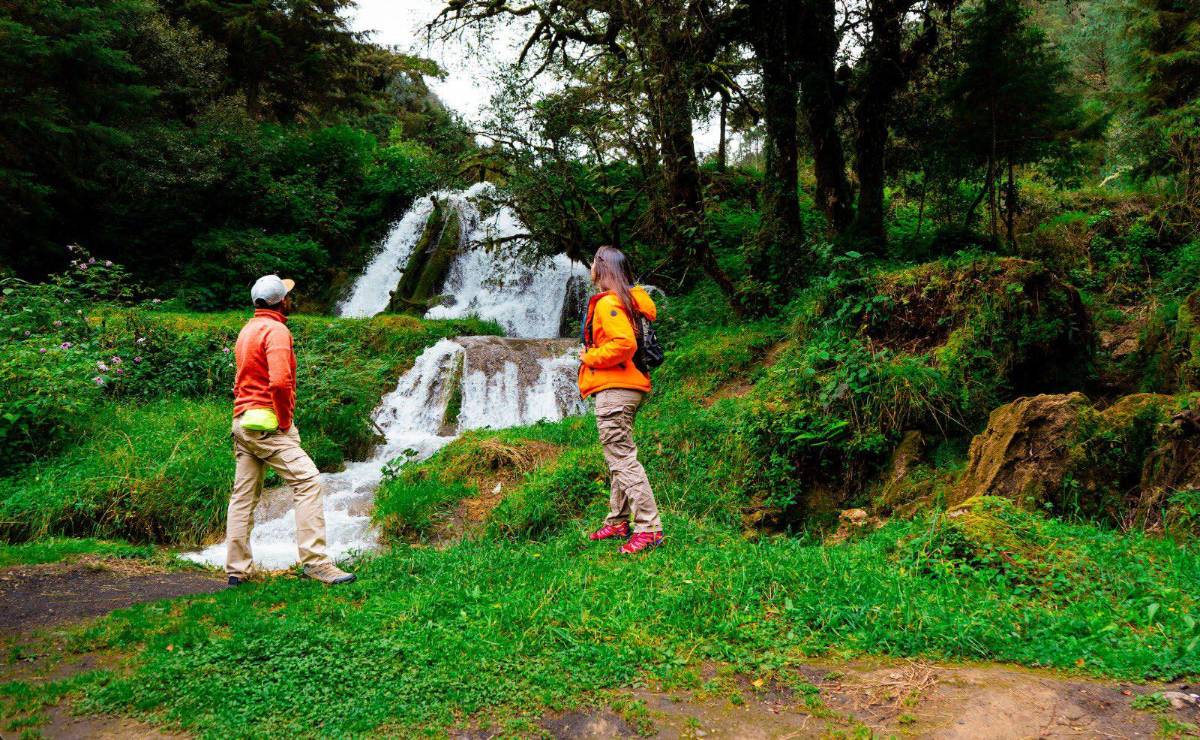 <i>Viajar por tierra permite compartir tiempo, disfrutar del paisaje y comenzar la experiencia desde el primer kilómetro. Foto de cortesía</i>