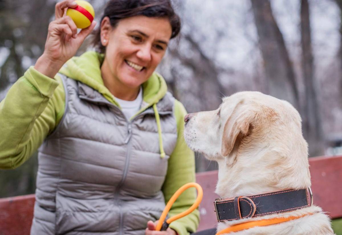 Estos son seis tipos de perros de asistencia