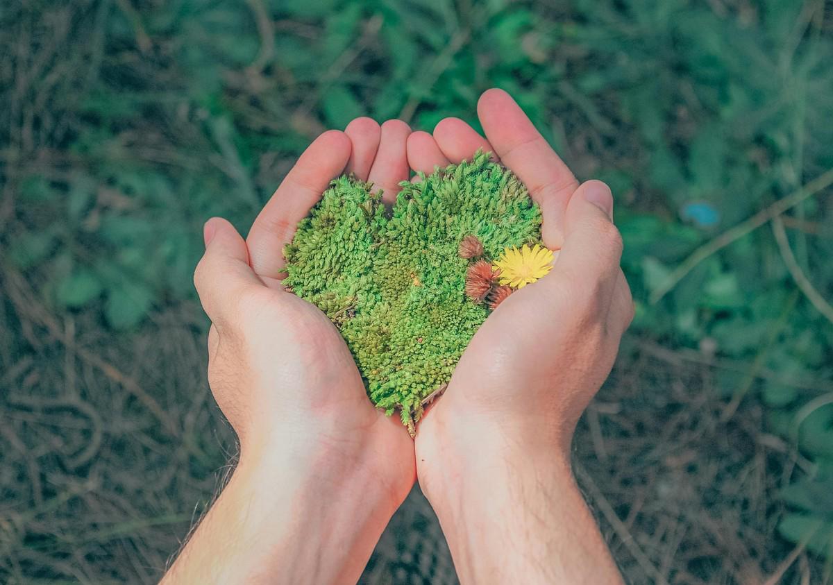 Greenhushing: el silencio sostenible de las marcas
