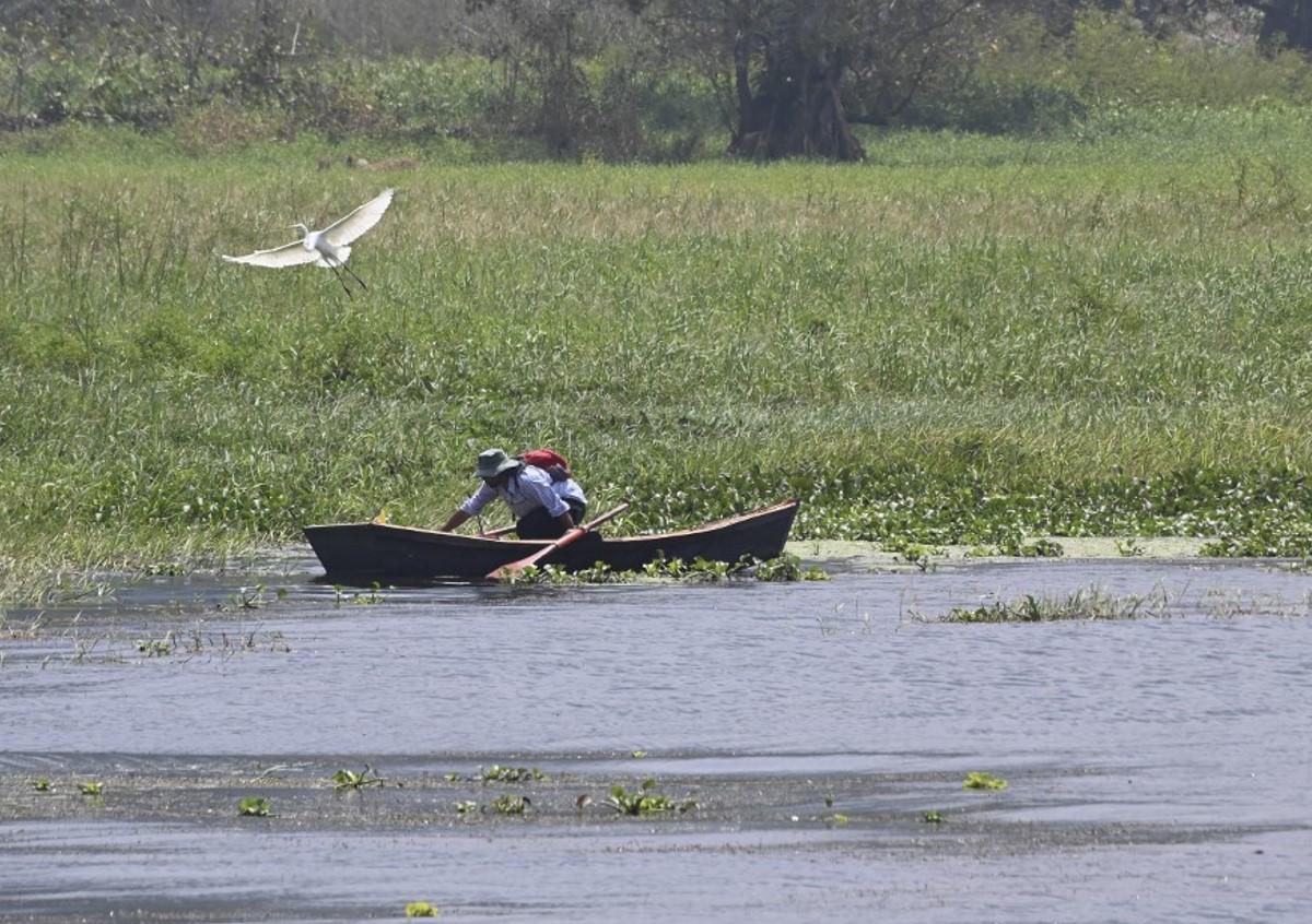 Unión Europea contribuirá a regenerar Lago de Yojoa en Honduras