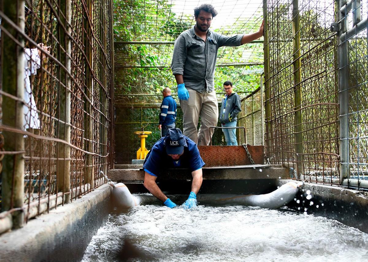 Crisis por agua contaminada en Costa Rica se agrava