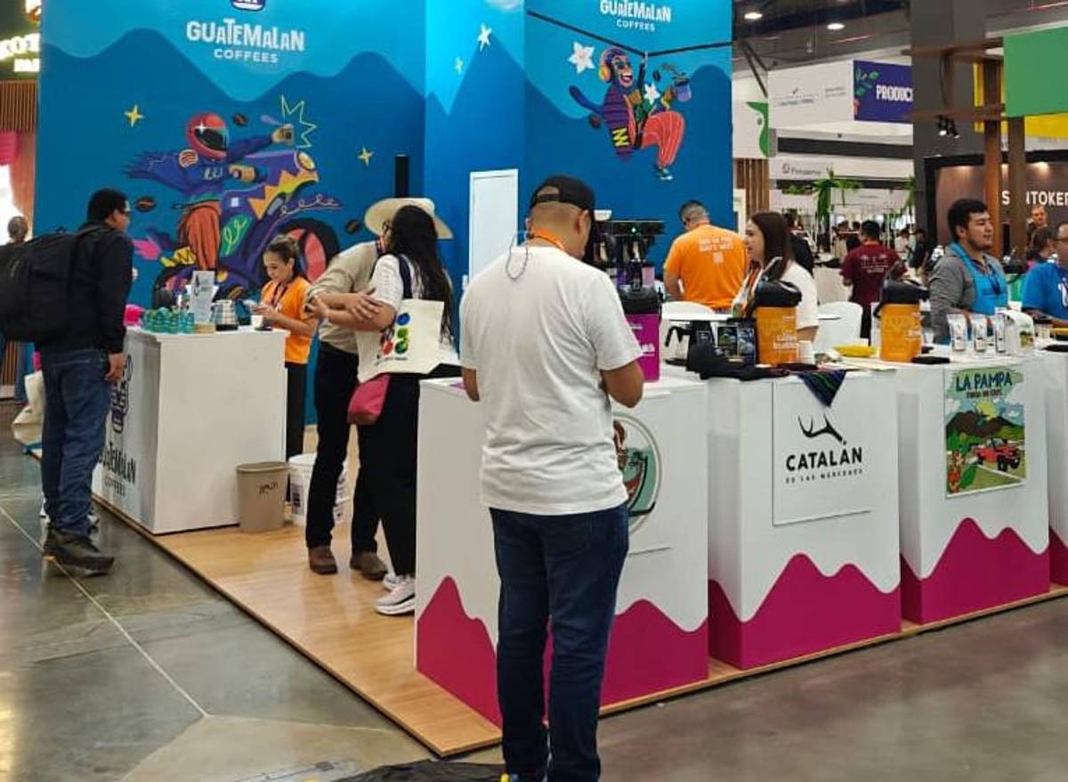 La especialización del café le granjea éxitos a Panamá