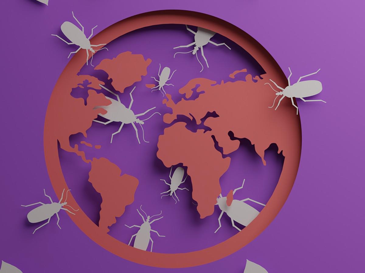 La enfermedad de Chagas es ya endémica en EEUU y se expande a 32 estados