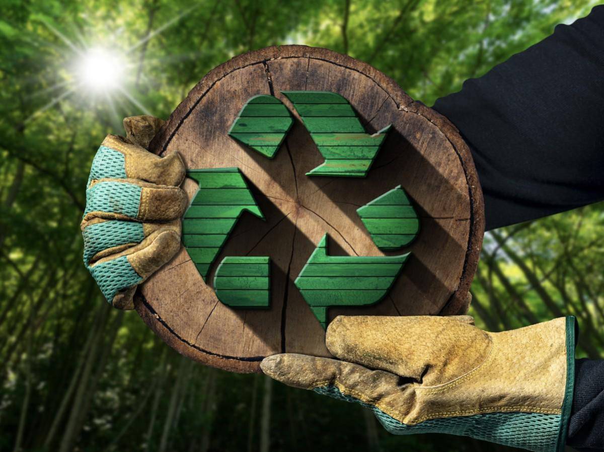 Panamá entre países que apoyan cuadriplicar uso de biocombustibles