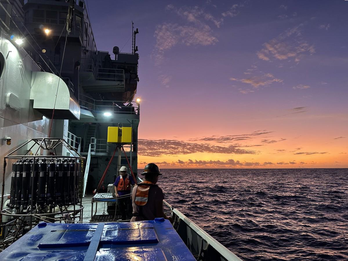 Calentamiento oceánico amenaza a unos microbios esenciales para la fotosíntesis global