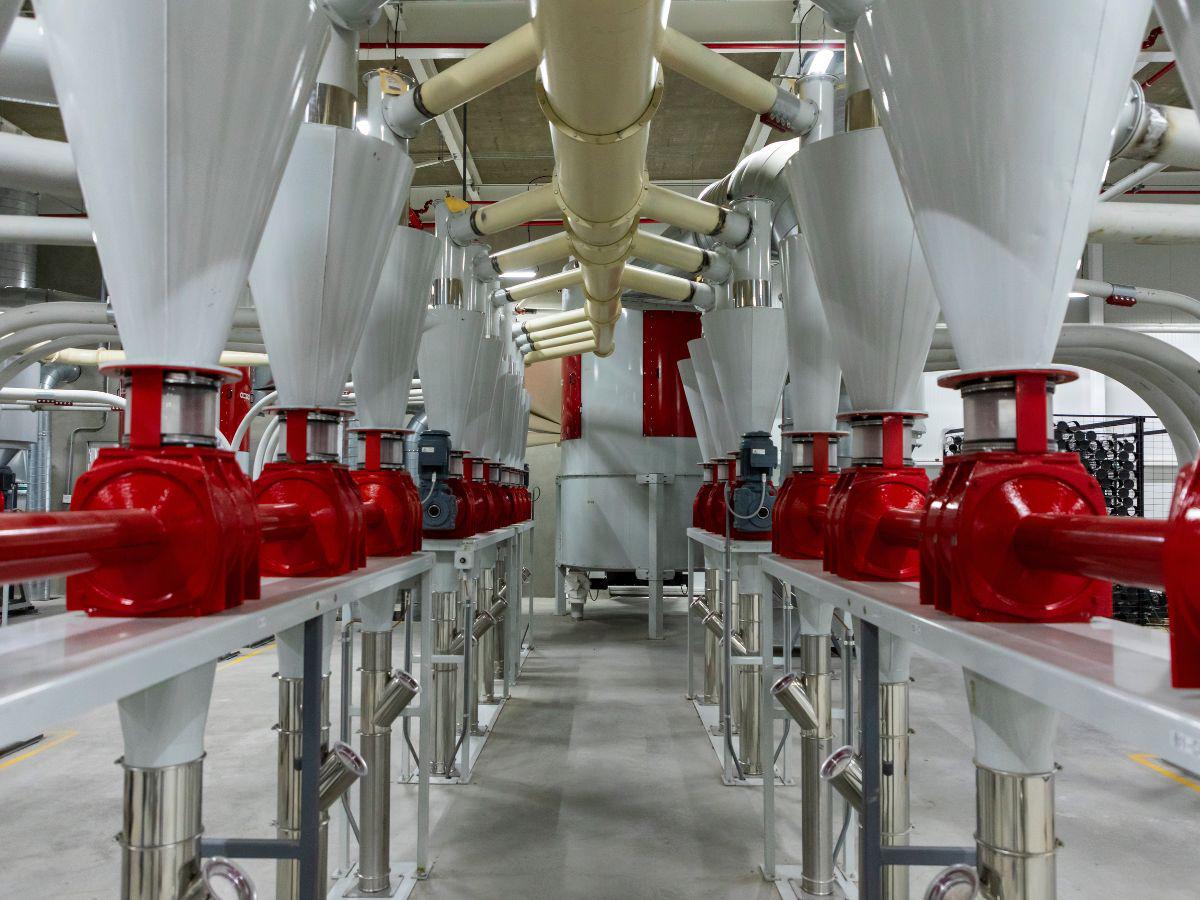 AMMI consolida un año exitoso y acelera su expansión internacional con un crecimiento interanual