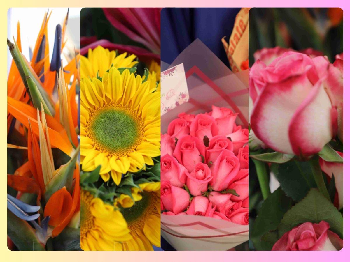 Día de la Madre: Flores de Guatemala encuentran una oportunidad en esta temporada