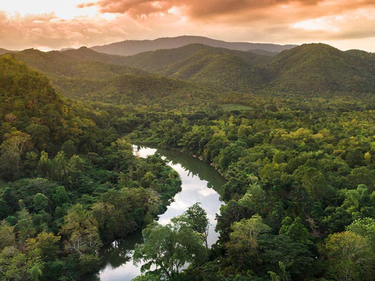 Mastercard se compromete con un futuro más verde y sostenible