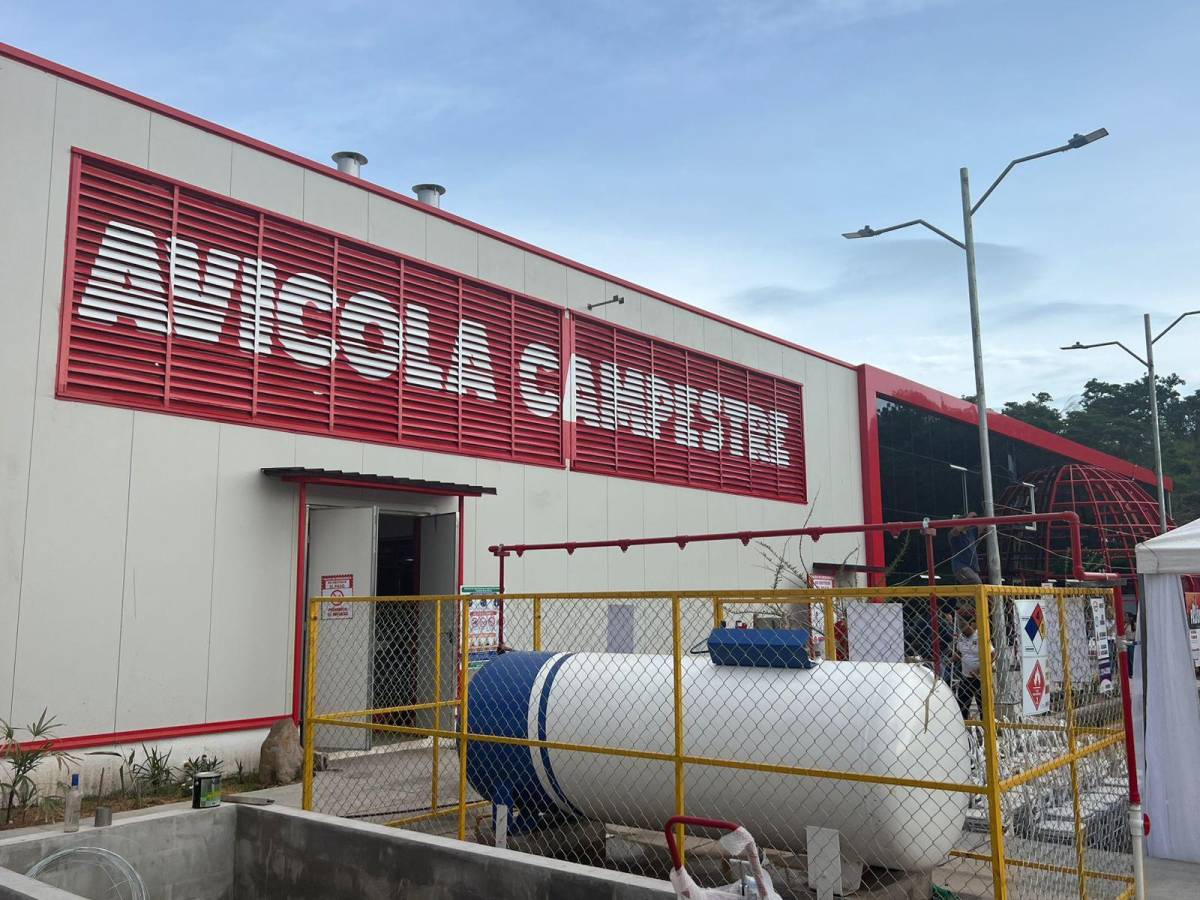 Avícola Campestre invierte US$8 millones en nueva Planta de Incubación
