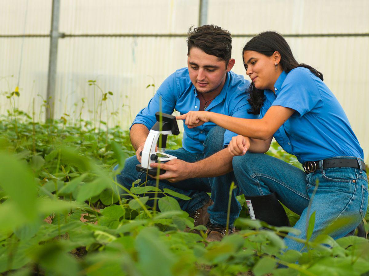 Zamorano: Innovación y liderazgo en la educación superior agrícola de América Latina