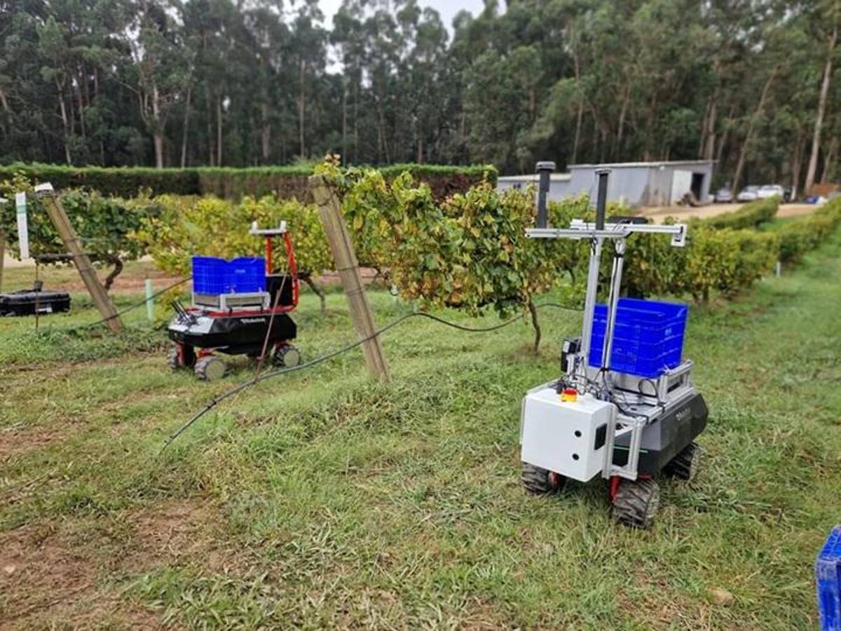 Robots de ayuda a la vendimia. EFE/ Centro De Automática Y Robótica (CAR), Centro Mixto Del CSIC Y La Universidad Politécnica De Madrid