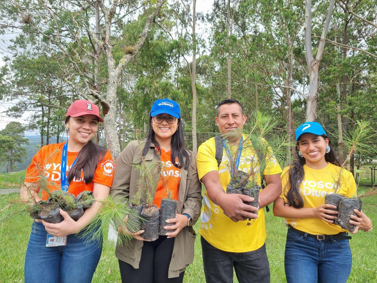 Diunsa: Motor de bienestar y crecimiento compartido