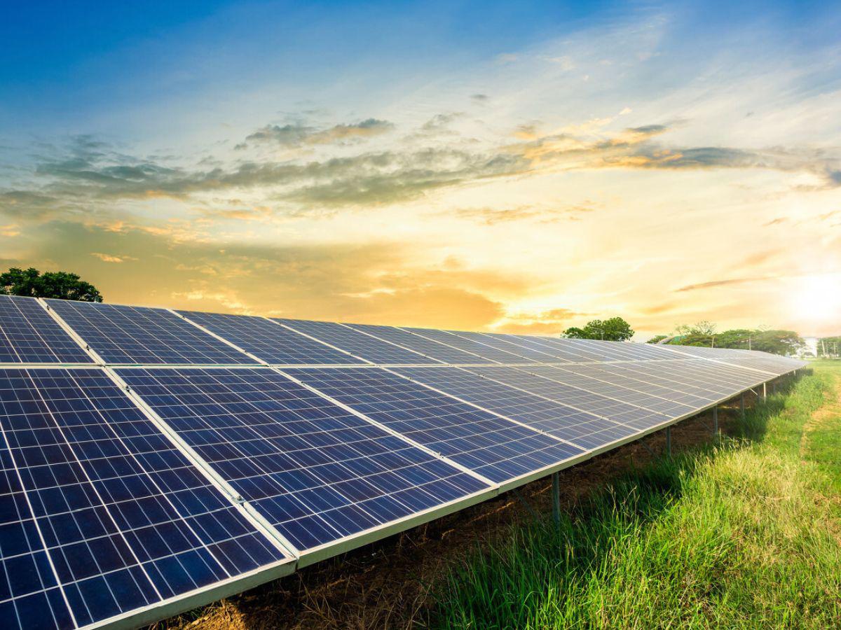 Desde 2021, La Constancia cuenta con el 100 % de su energía producida por fuentes renovables.