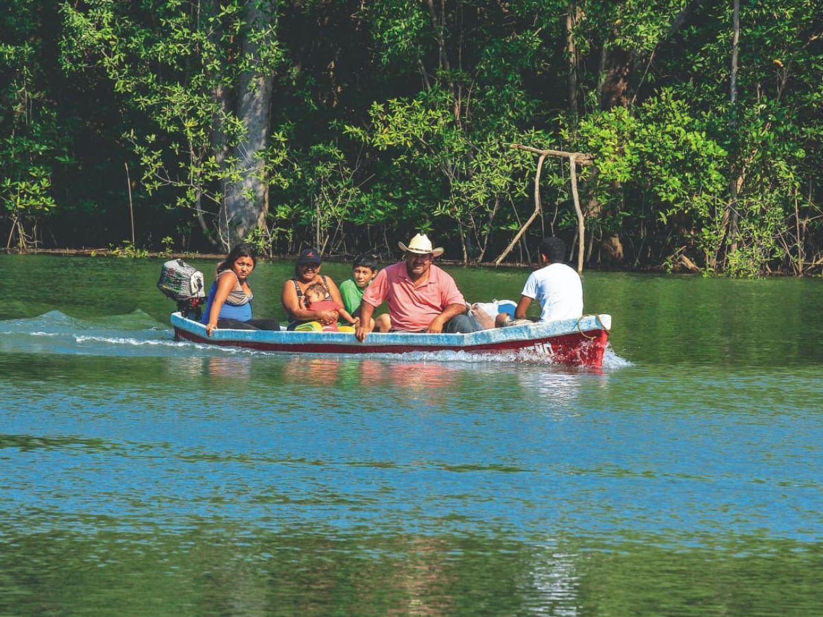 Bancoagrícola abre La Cuenta del Mar para proteger los manglares en El Salvador