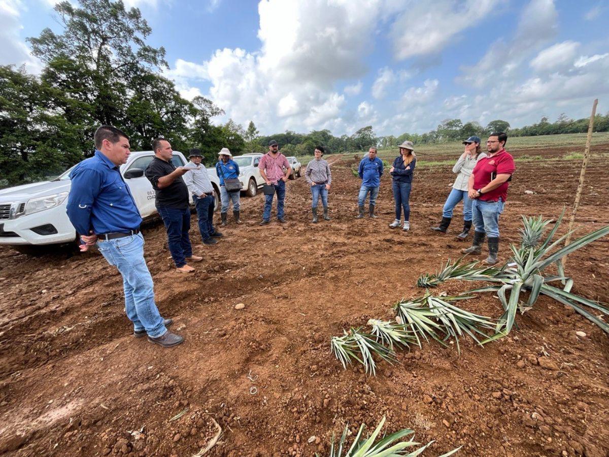 Yara lidera el camino hacia una agricultura más limpia y próspera para todos