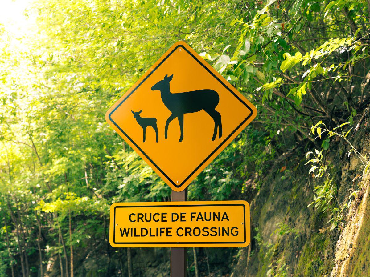 Peninsula Papagayo impulsa un modelo de turismo sostenible que genera valor para Costa Rica y sus comunidades