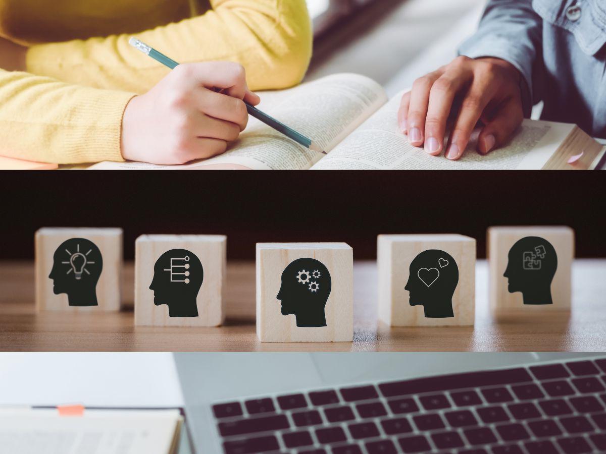 Capacitación personalizada: una necesidad para el profesional actual