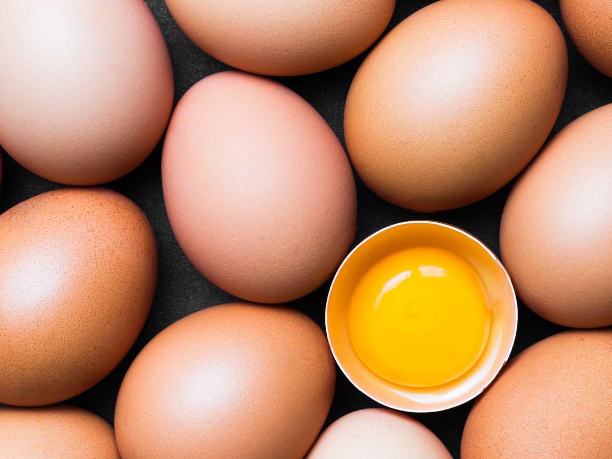 ¿Por qué hay escasez de huevos en EEUU? Culpa de Joe Biden, según nueva administración