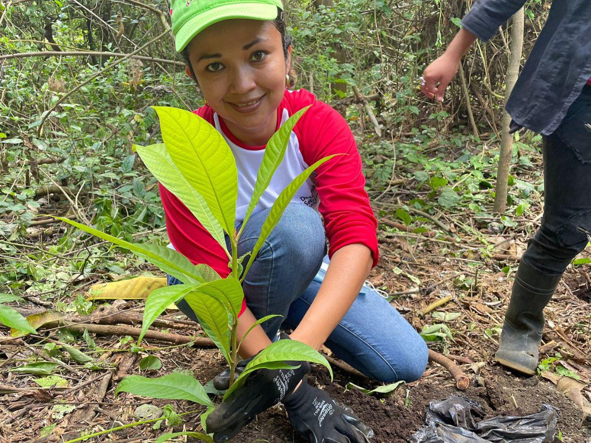 La ruta de sostenibilidad de Coca-Cola FEMSA