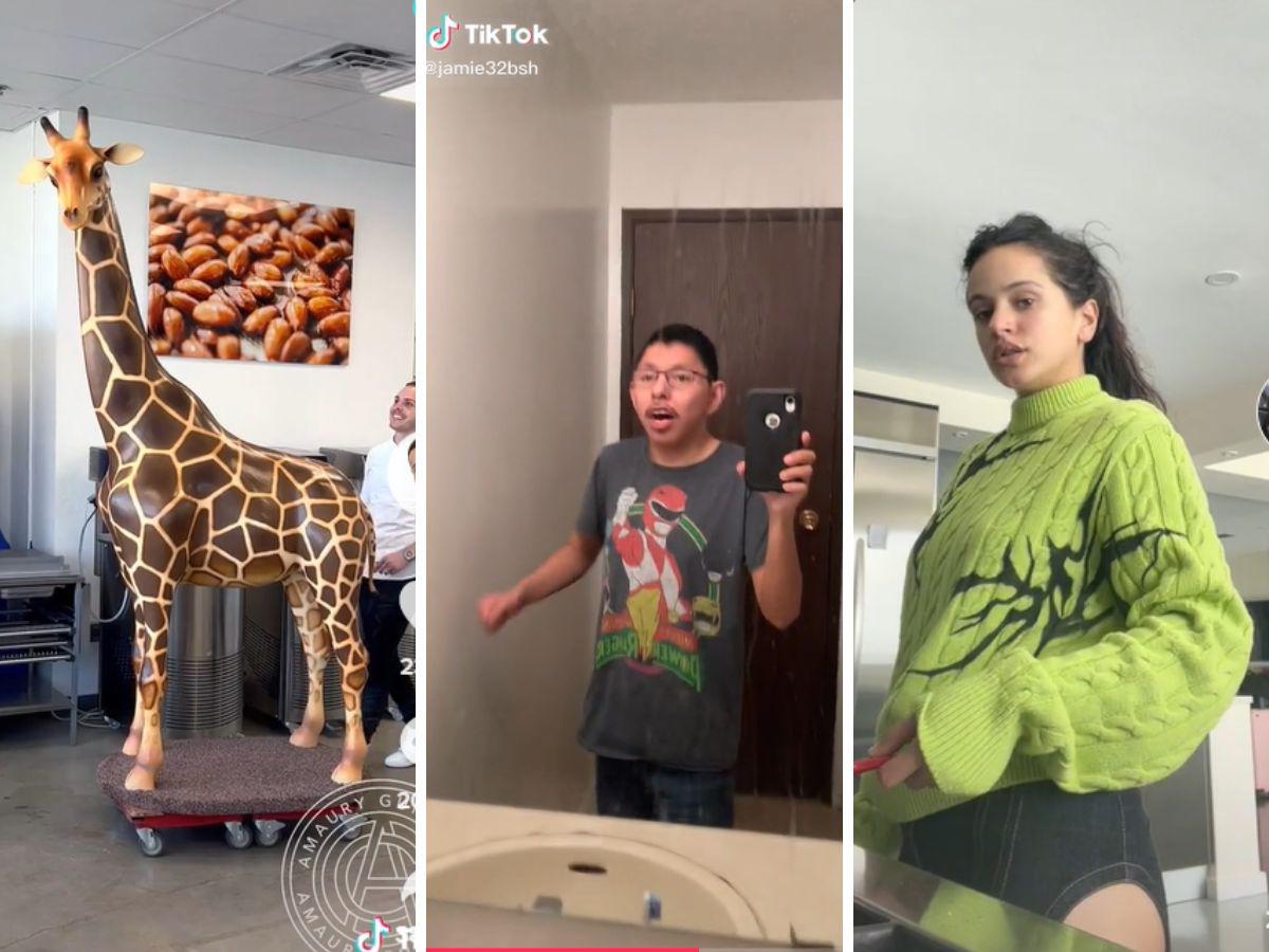 Los 5 virales que dejó el 2022 en TikTok