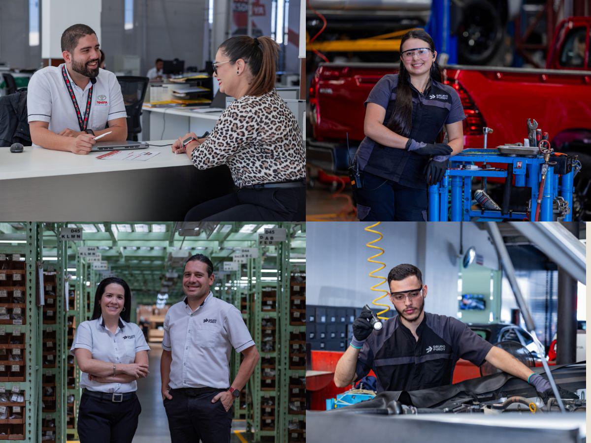 Confianza, base de las operaciones de Grupo Purdy