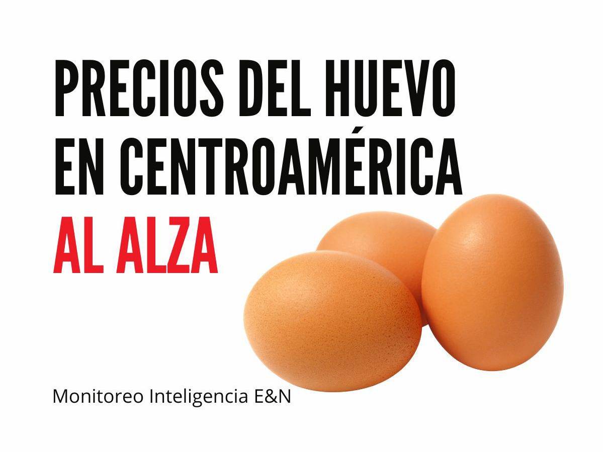 Precios del huevo en Centroamérica: Este es el país con el precio más alto