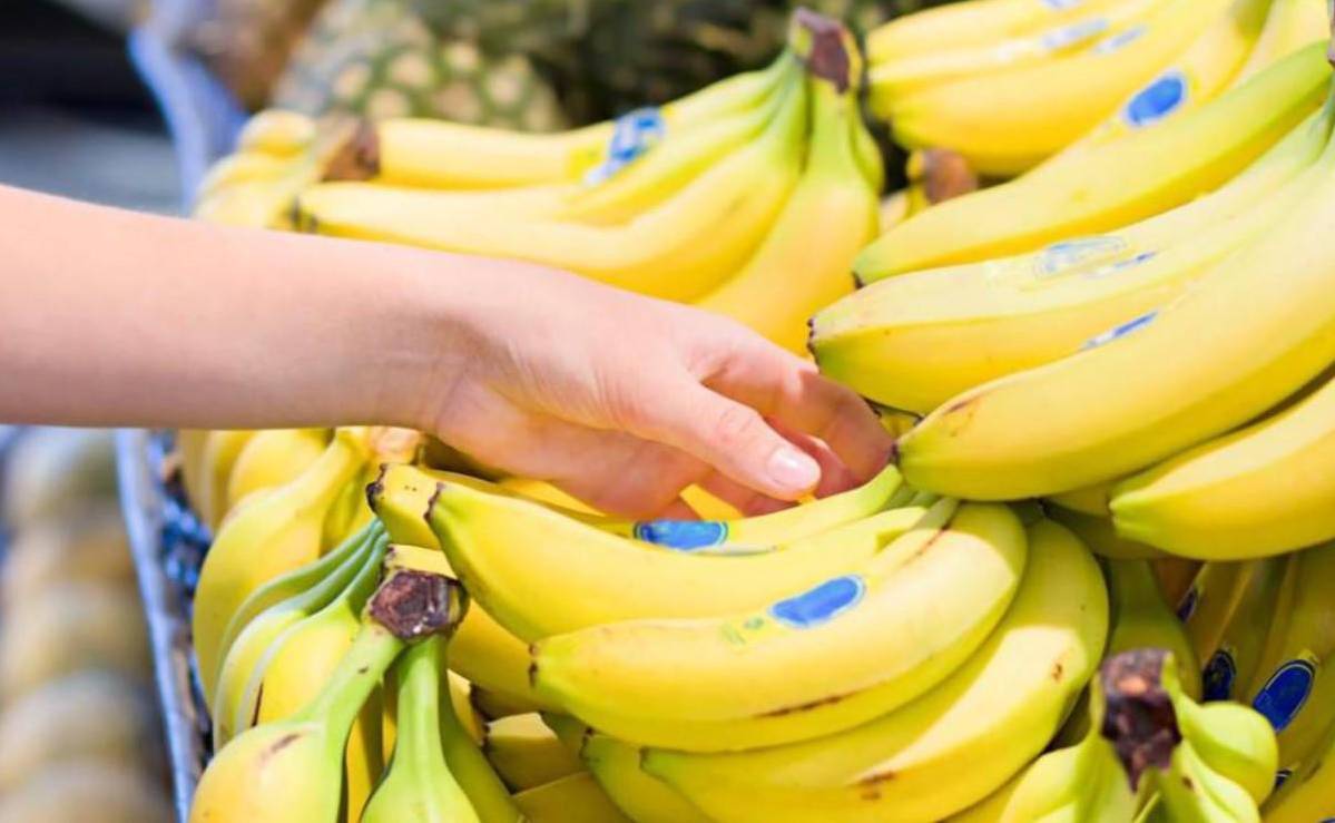 Gobierno de Panamá se reunirá con 'altos ejecutivos' de bananera Chiquita