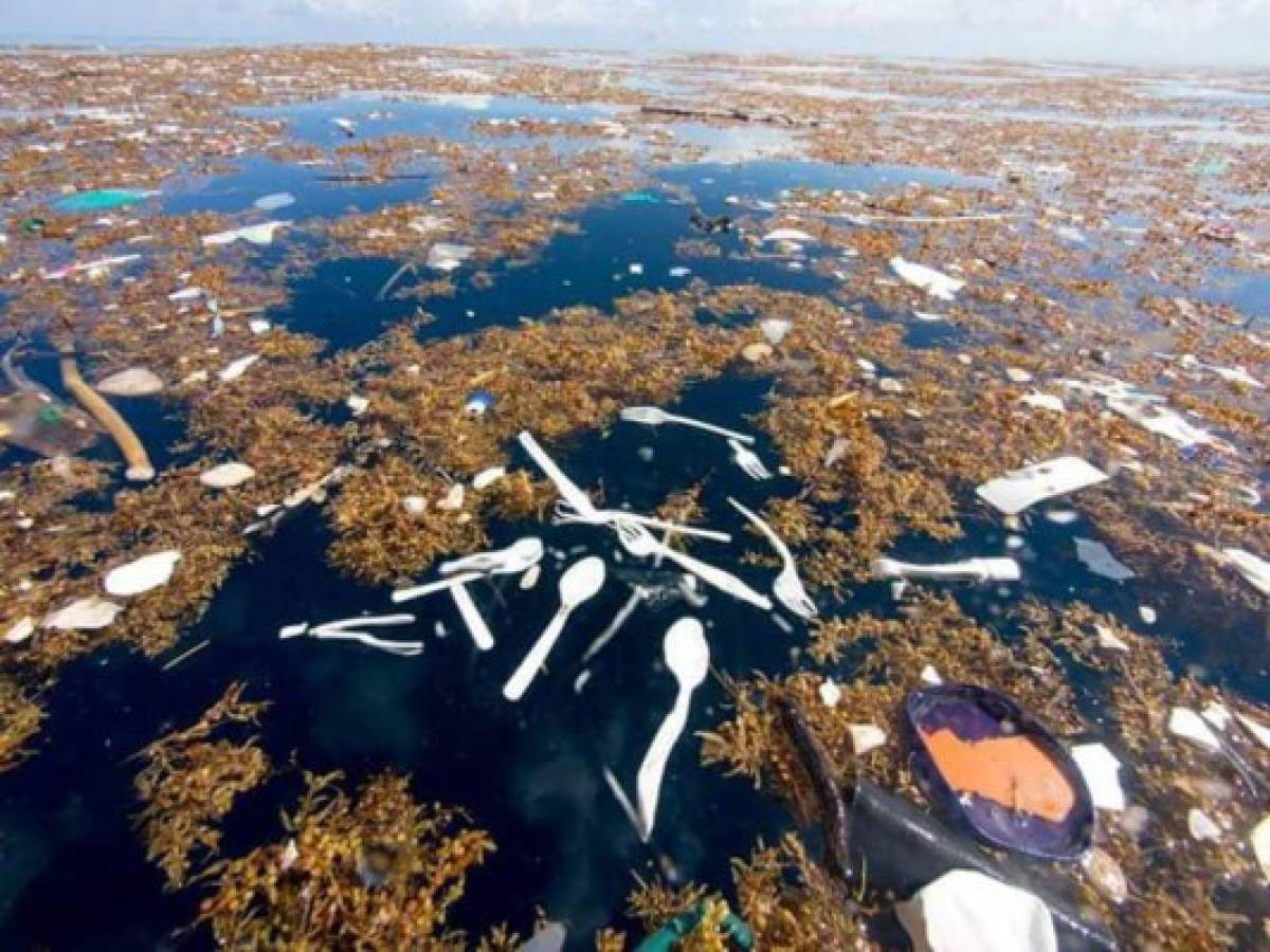 'Isla de basura' en Caribe hondureño, testimonio de catástrofe ambiental