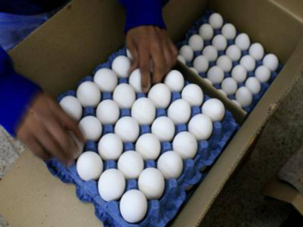 Costa Rica abre exportación de huevo a México