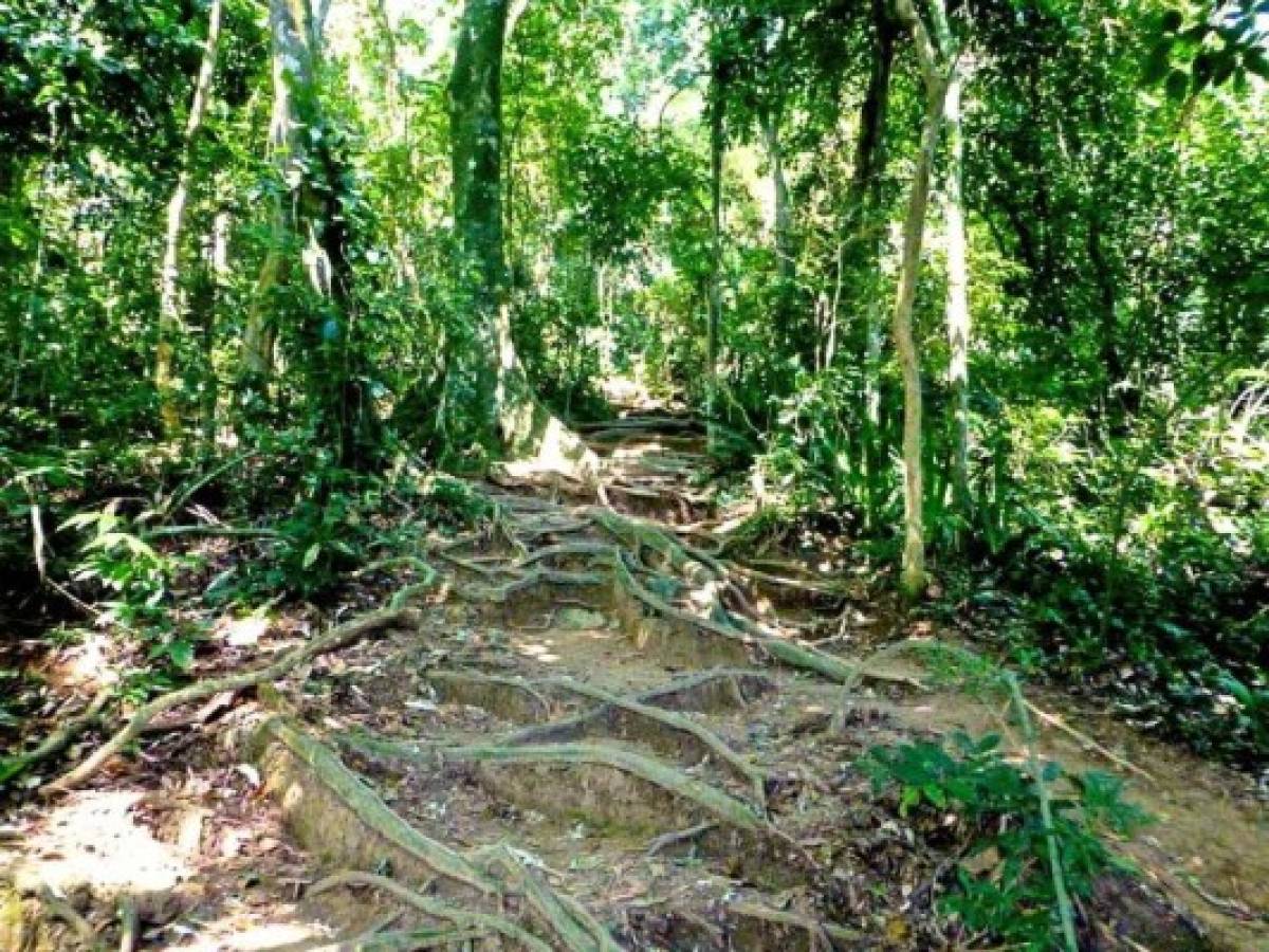 Guatemala: Maya Trek uno de los destinos favoritos de ingleses