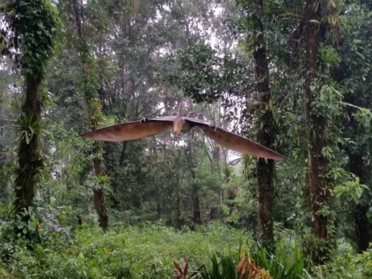 ¿Jurassic Park? Abre parque de dinosaurios en Costa Rica