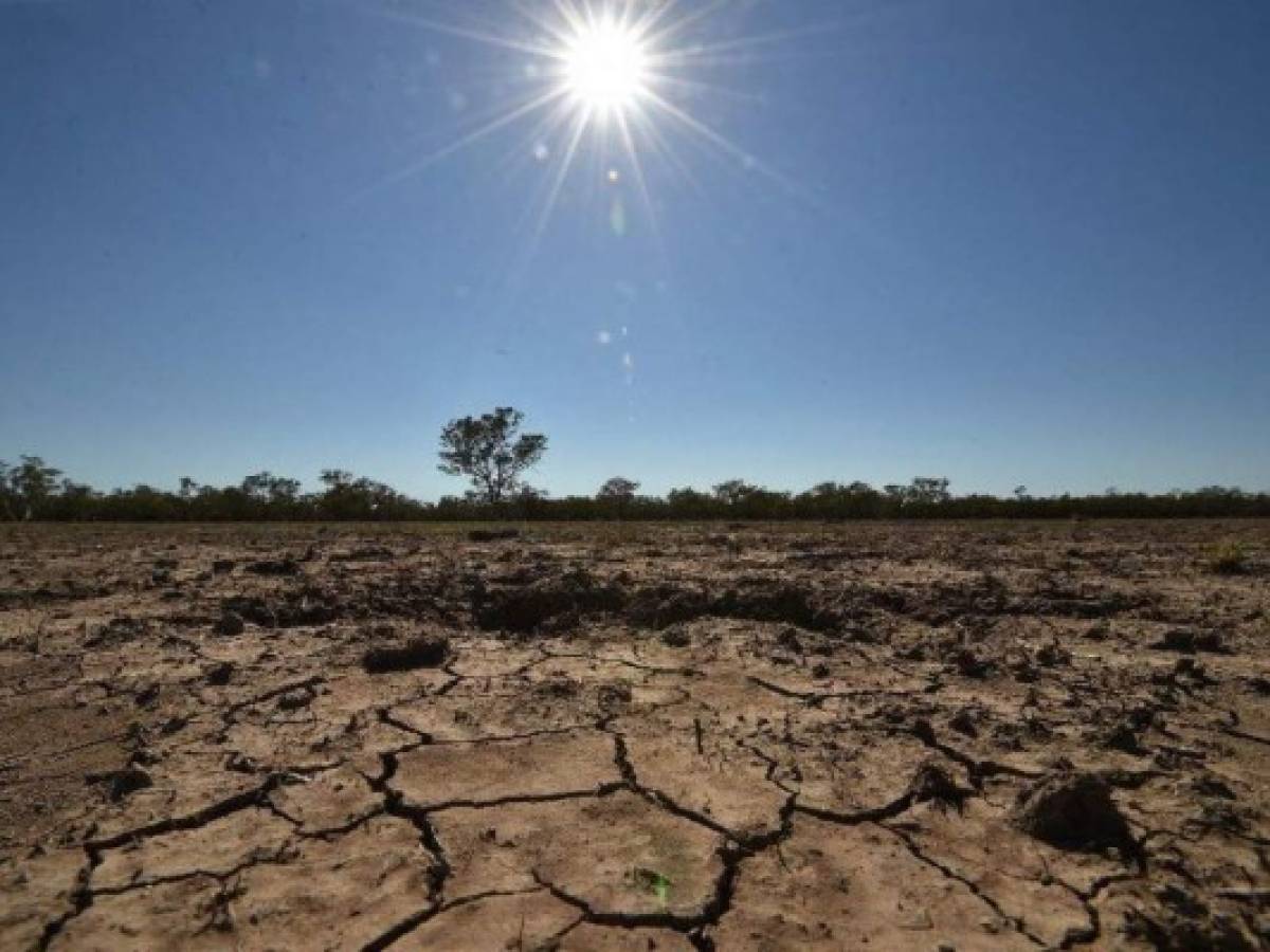 216 millones de personas migrarían por cambio climático