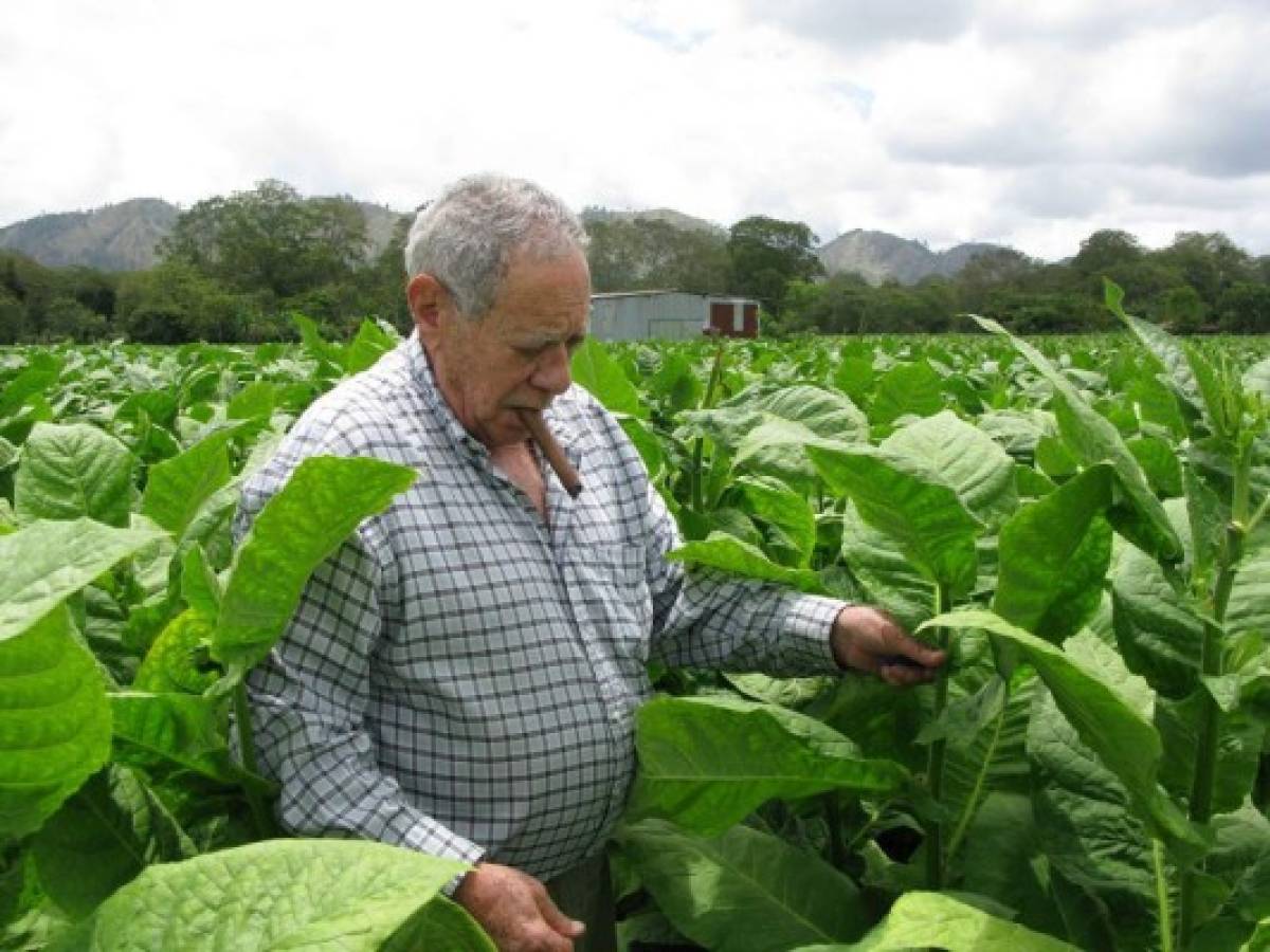 Tributo póstumo a Orlando Padrón, un artista del tabaco