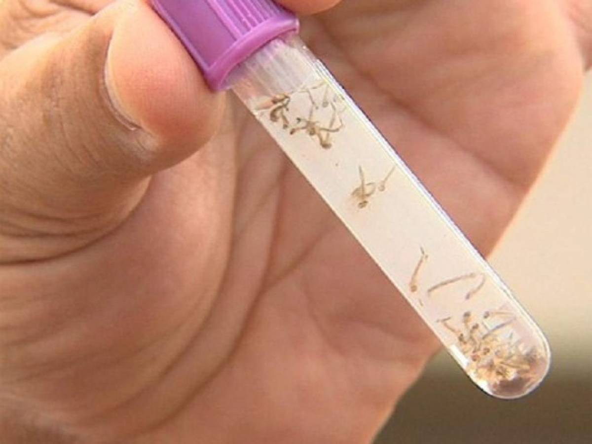El Salvador aprueba registro de primera vacuna contra dengue